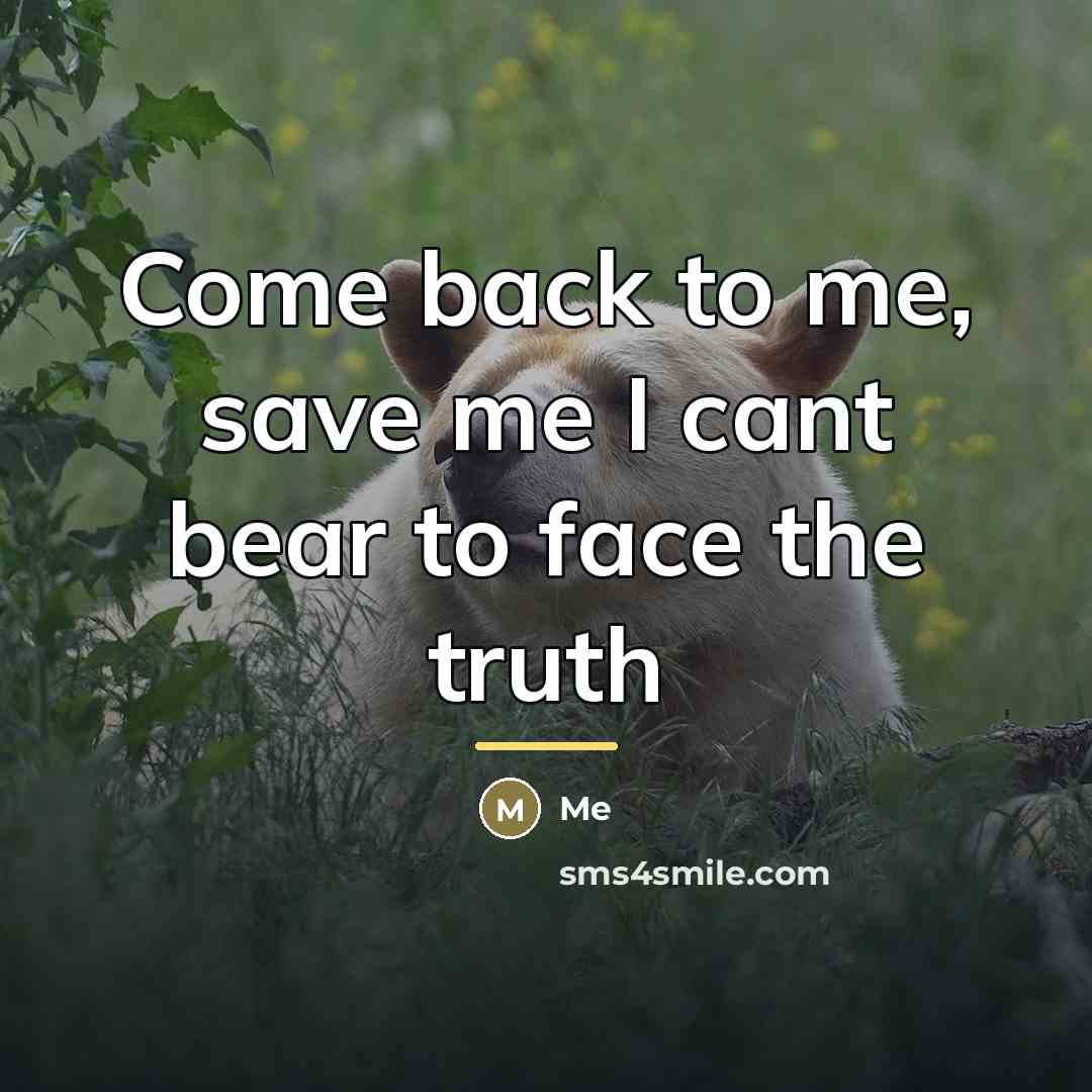 “Come back to me, save me I cant bear to…” quote by Me