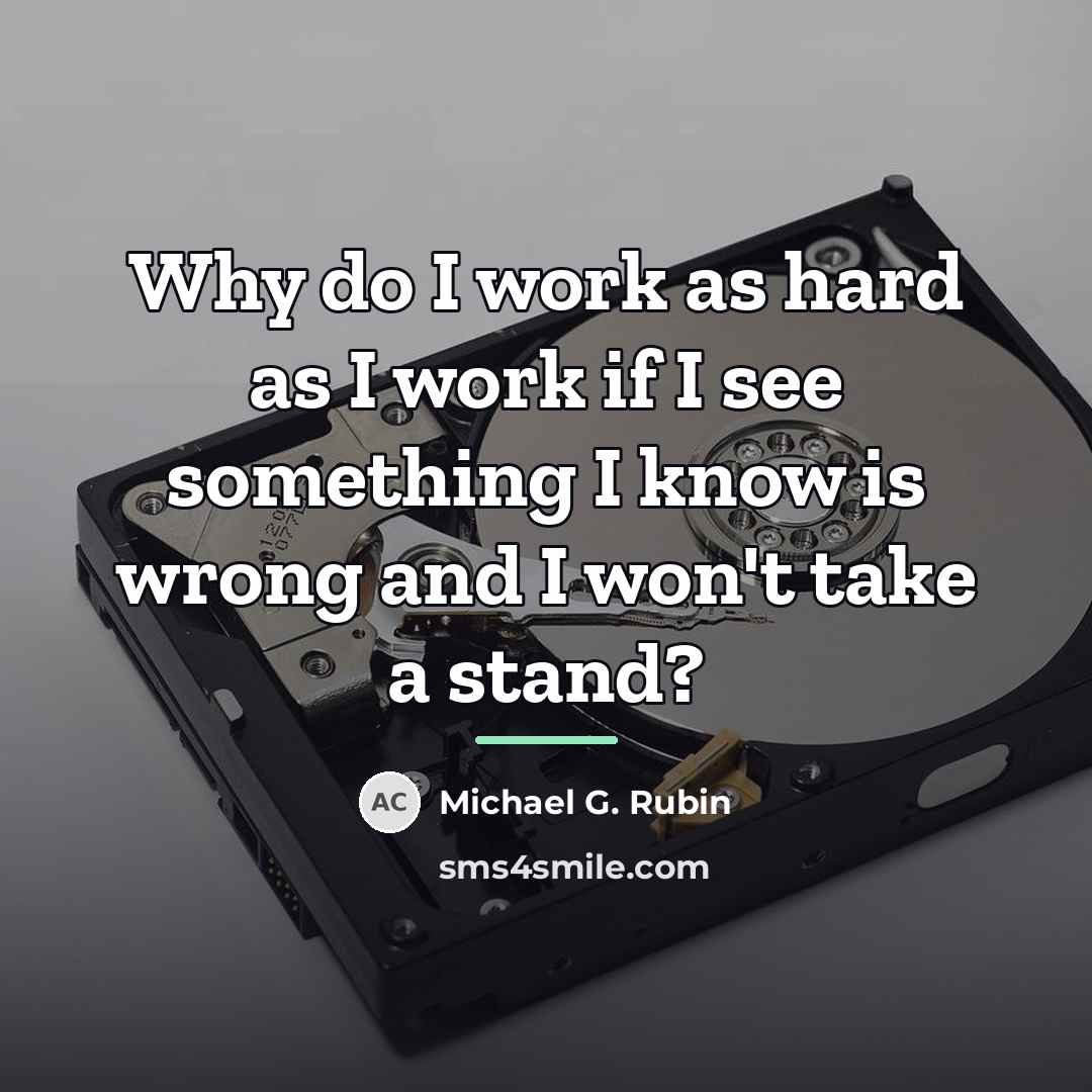 “Why do I work as hard as I work if…” quote by Michael G. Rubin