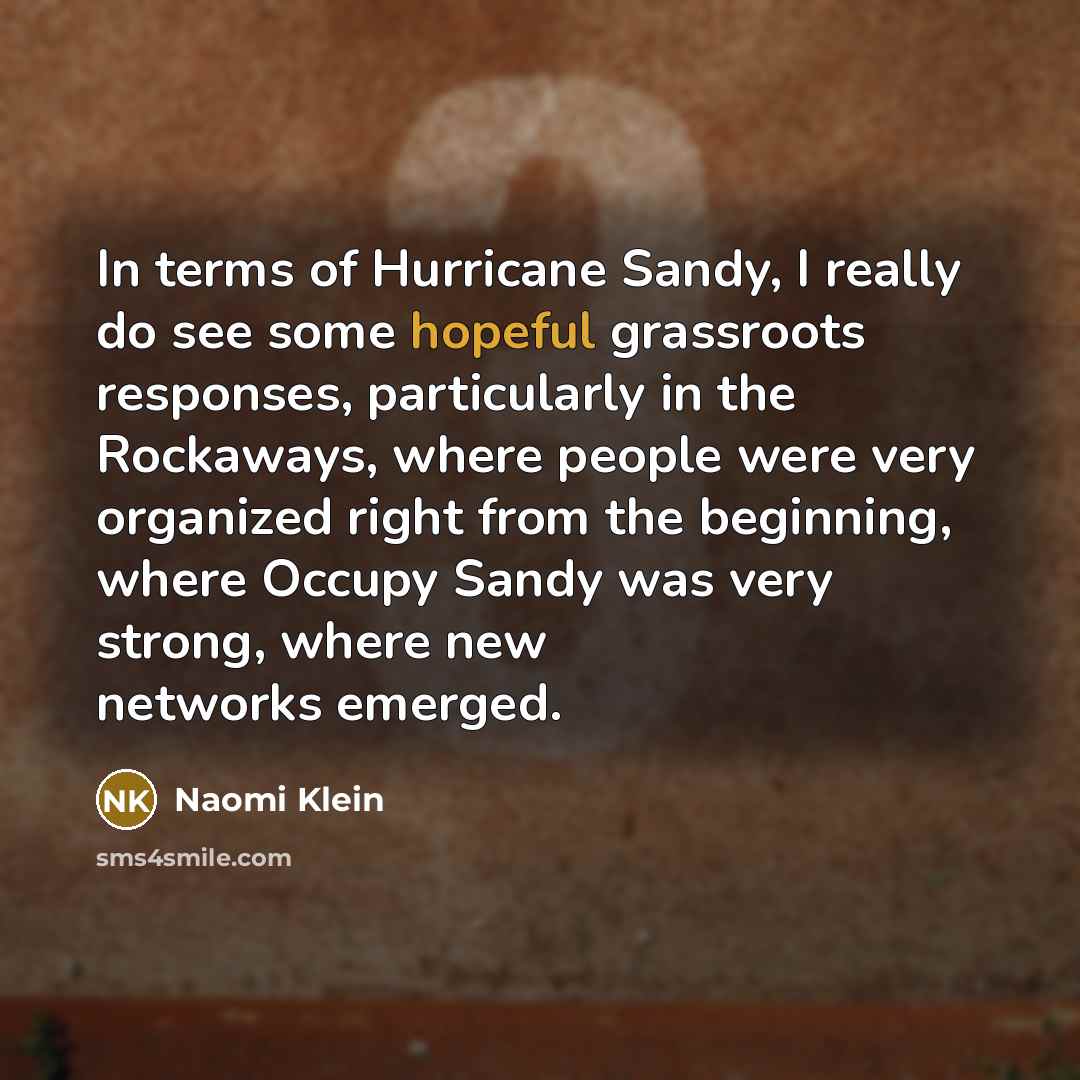 “In terms of Hurricane Sandy, I really do see some…” quote by Naomi Klein