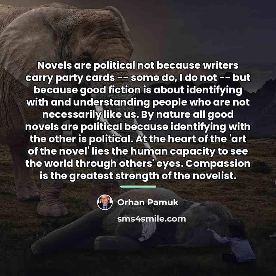 “Novels are political not because writers carry party cards --…” quote by Orhan Pamuk