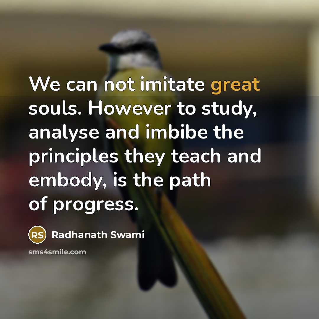 “We can not imitate great souls. However to study, analyse…” quote by Radhanath Swami