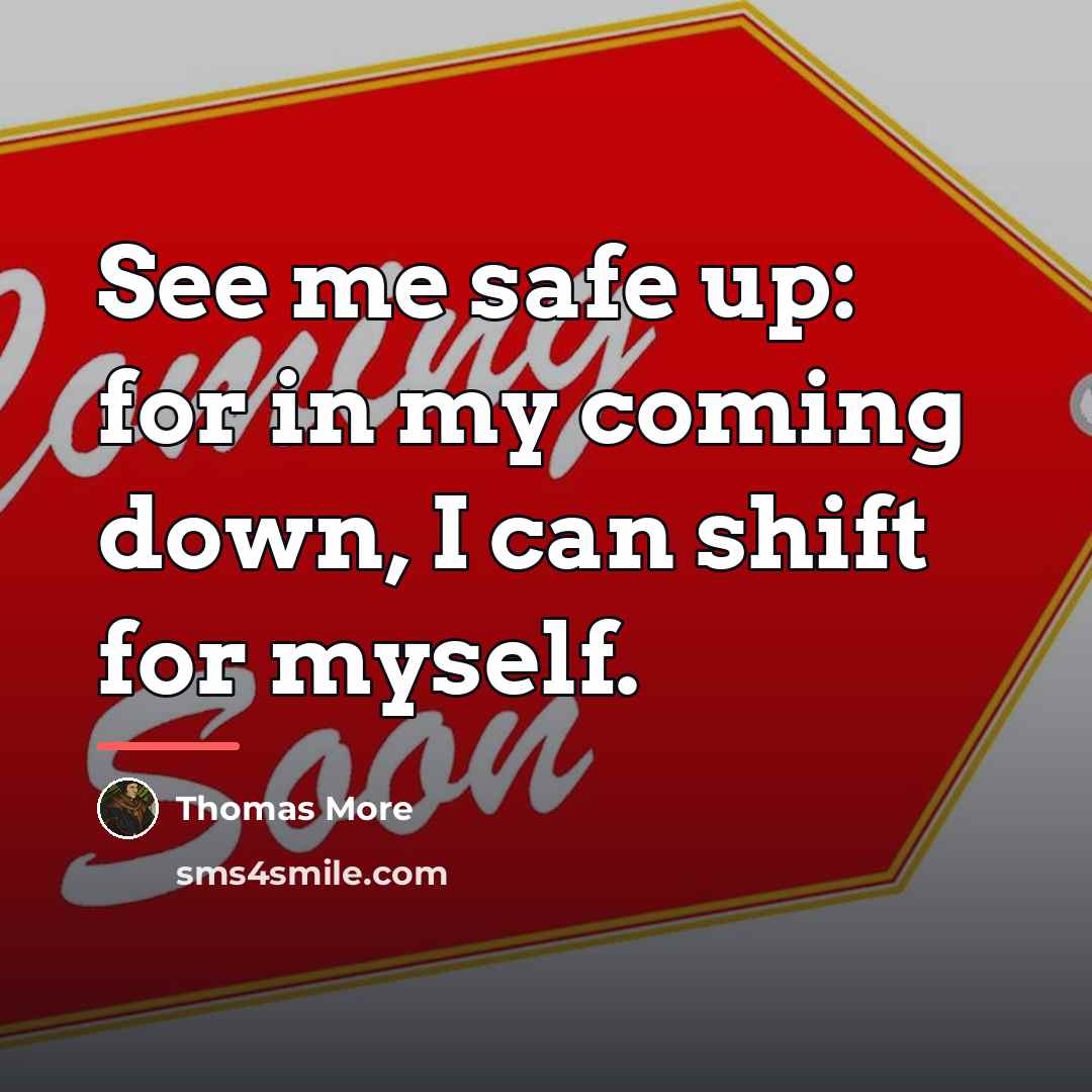 “See me safe up: for in my coming down, I…” quote by Thomas More