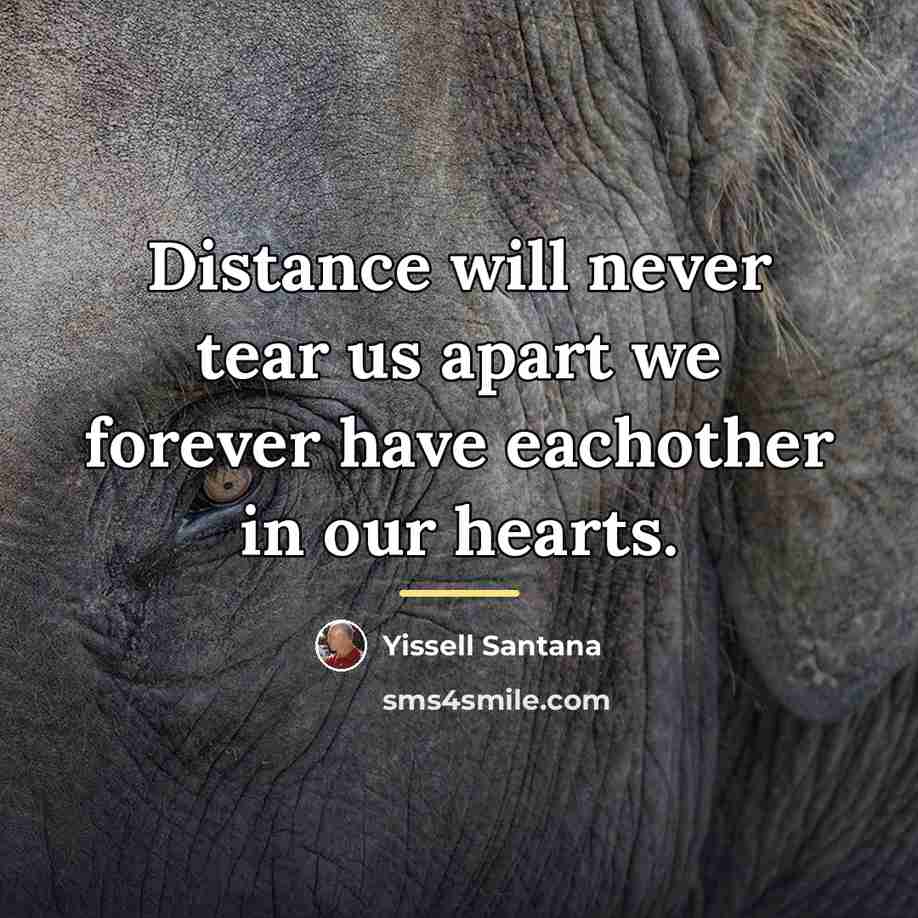 “Distance will never tear us apart we forever have eachother…” quote by Yissell Santana
