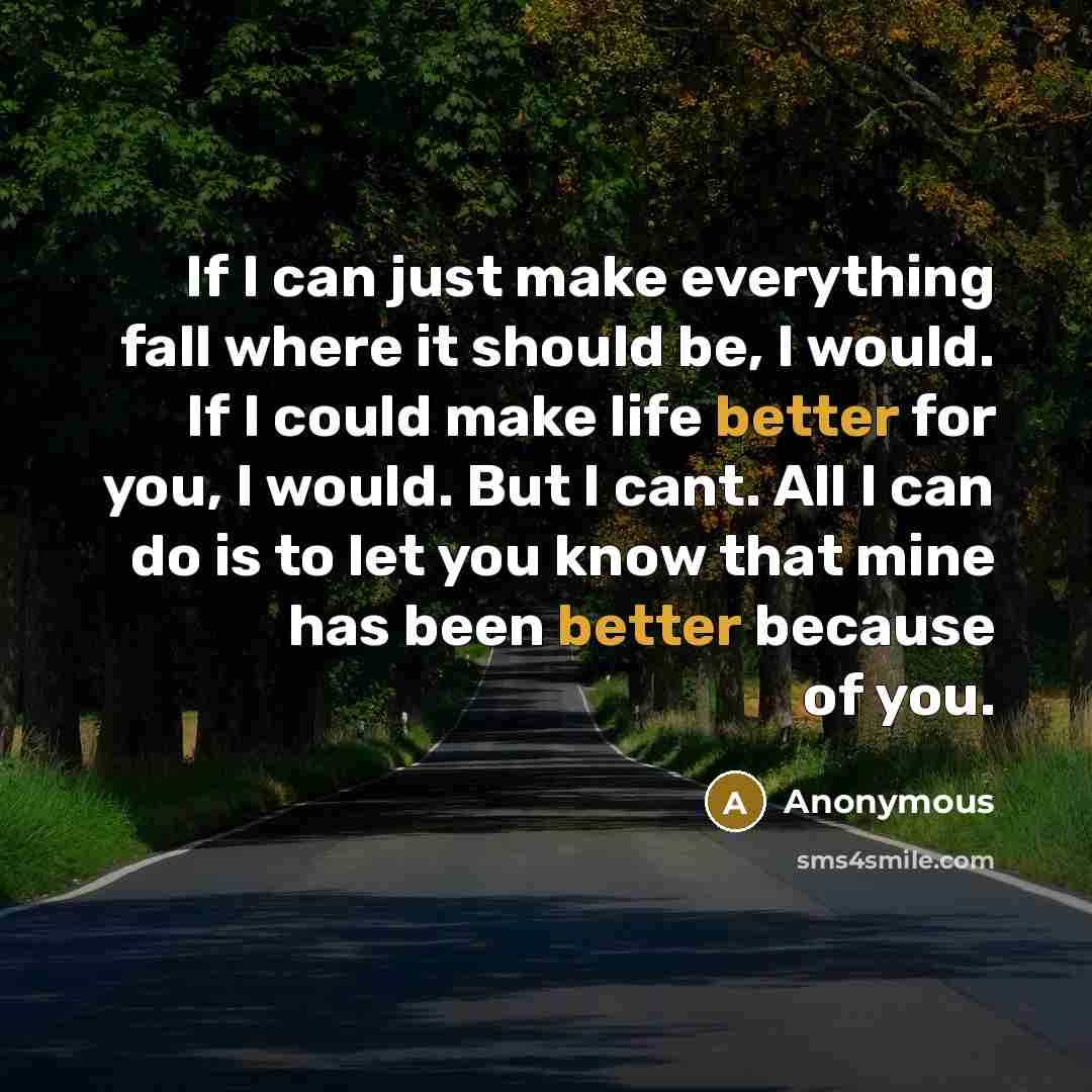 “If I can just make everything fall where it should be, I would. If I could make life better for you, I would. But I cant. All I can do is to let you know that mine has been better because of you.” quote by Anonymous