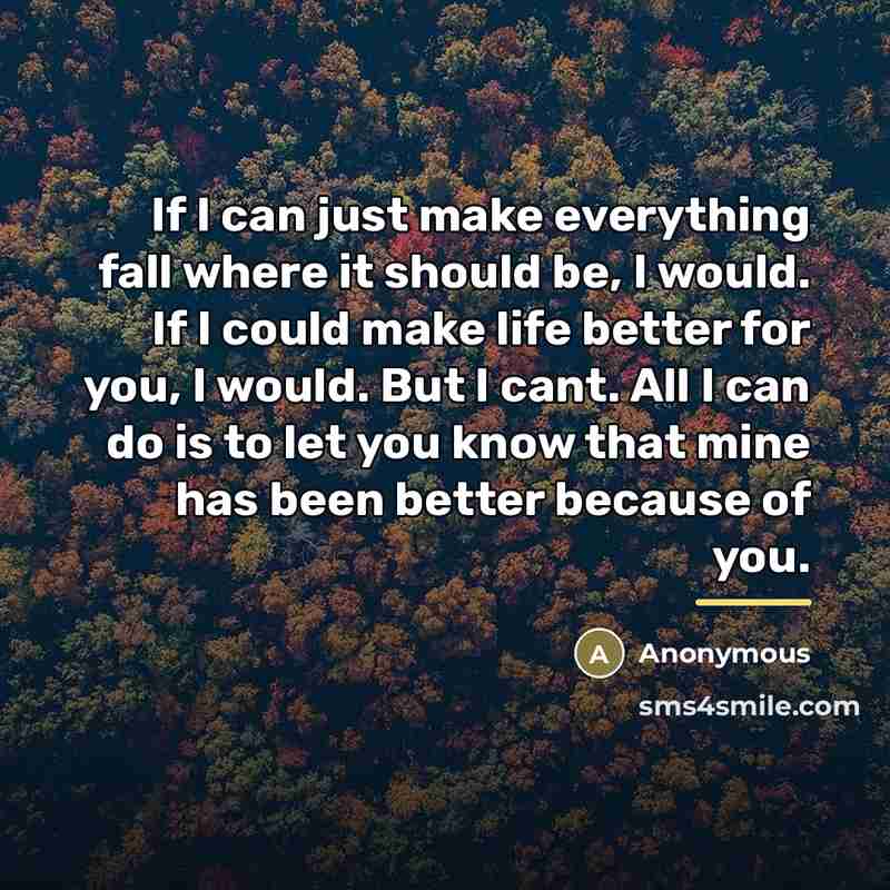“If I can just make everything fall where it should…” quote by Anonymous