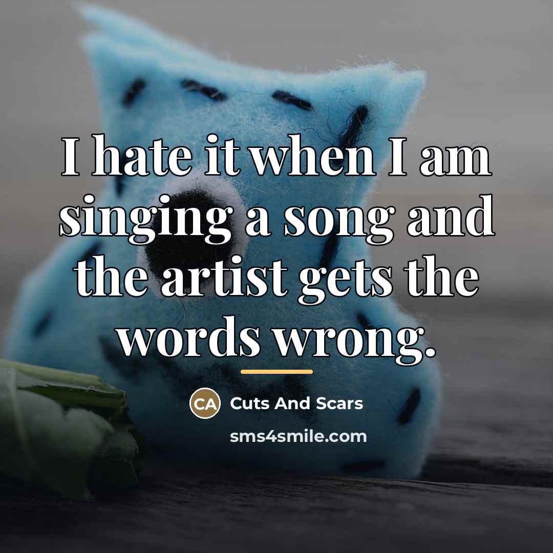 “I hate it when I am singing a song and…” quote by Cuts And Scars
