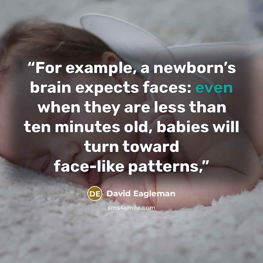 “For example, a newborn’s brain expects faces: even when they are less than ten minutes old, babies will turn toward face-like patterns,” quote by David Eagleman