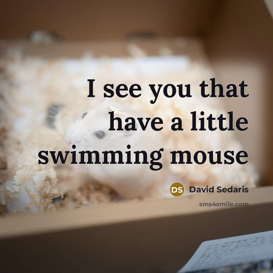 “I see you that have a little swimming mouse…” quote by David Sedaris