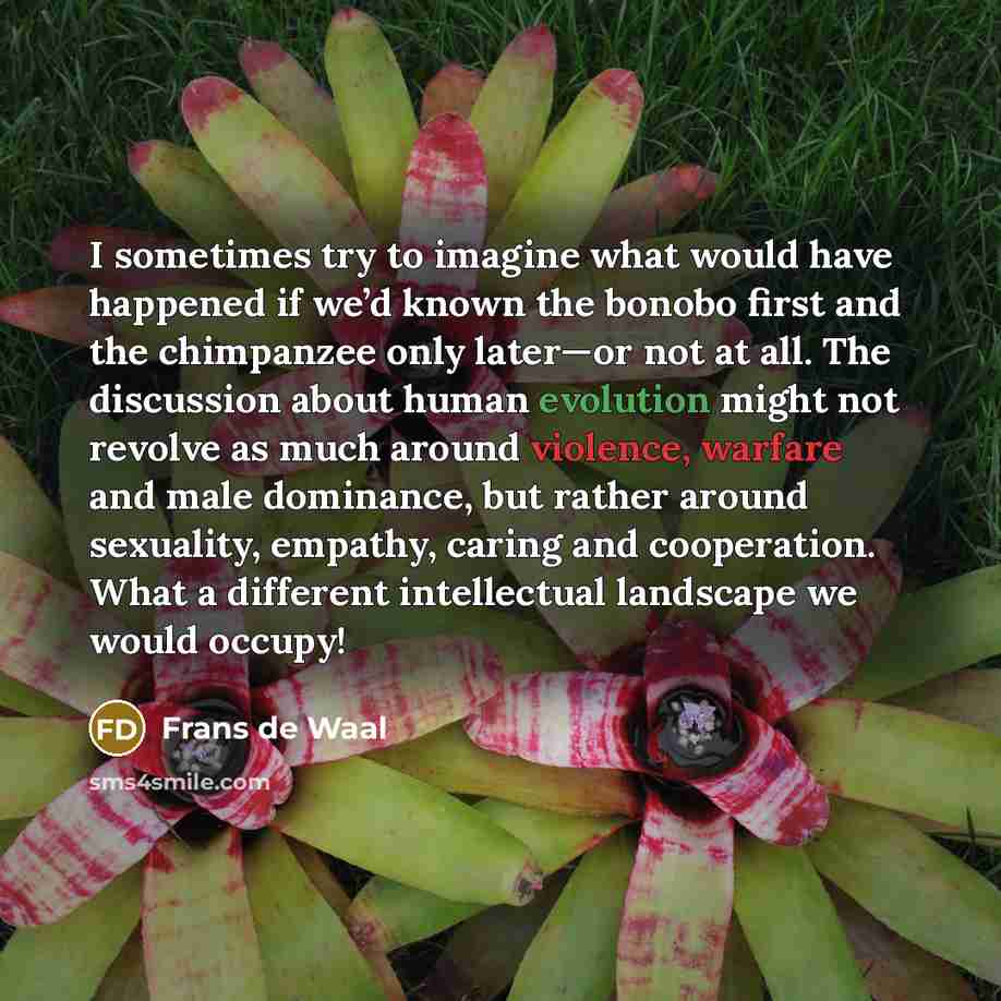 “I sometimes try to imagine what would have happened if we’d known the bonobo first and the chimpanzee only later—or not at all. The discussion about human evolution might not revolve as much around violence, warfare and male dominance, but rather around sexuality, empathy, caring and cooperation…” quote by Frans de Waal