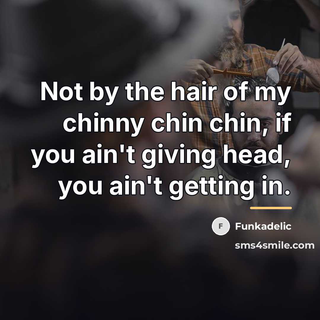 “Not by the hair of my chinny chin chin, if…” quote by Funkadelic
