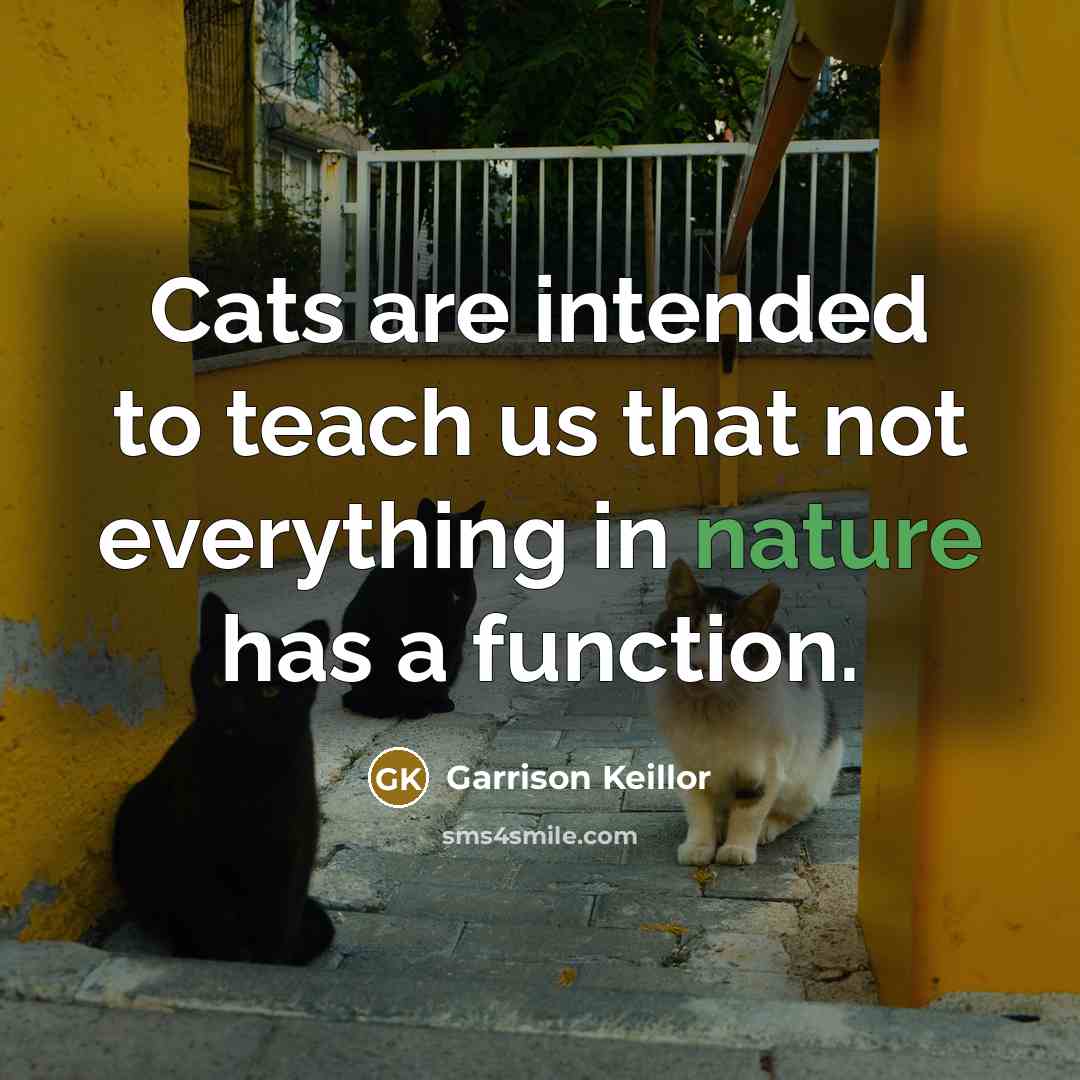 “Cats are intended to teach us that not everything in…” quote by Garrison Keillor