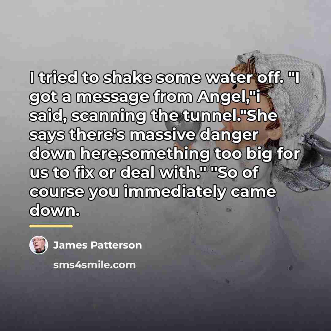 “I tried to shake some water off. "I got a…” quote by James Patterson