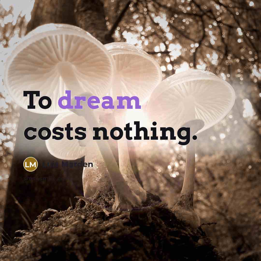 “To dream costs nothing.…” quote by Luis Marden