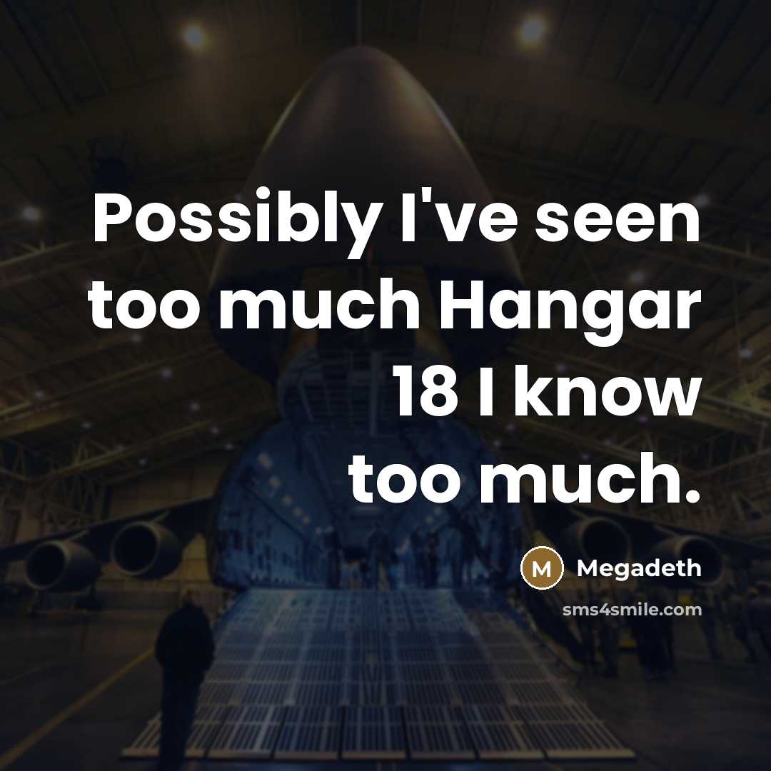 “Possibly I've seen too much Hangar 18 I know too…” quote by Megadeth