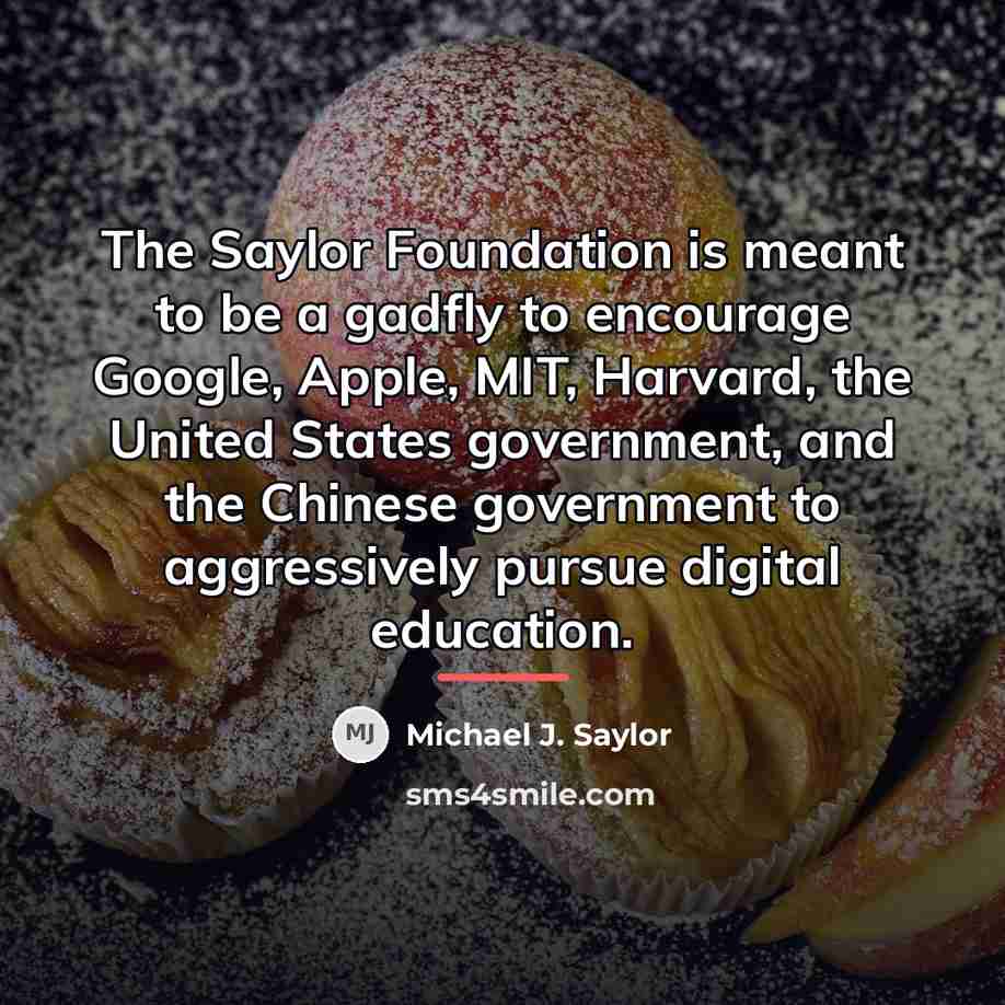 “The Saylor Foundation is meant to be a gadfly to…” quote by Michael J. Saylor