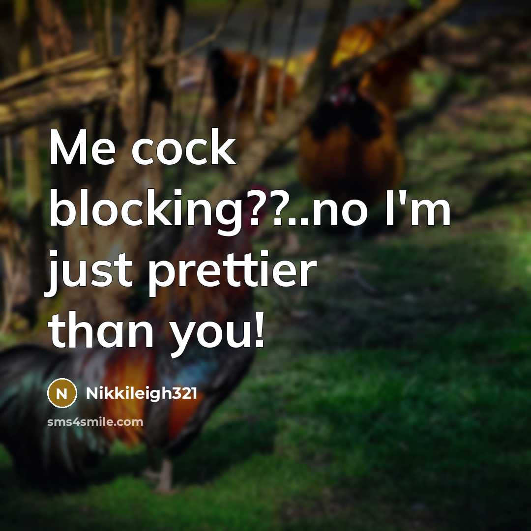 “Me cock blocking??..no I'm just prettier than you!…” quote by Nikkileigh321