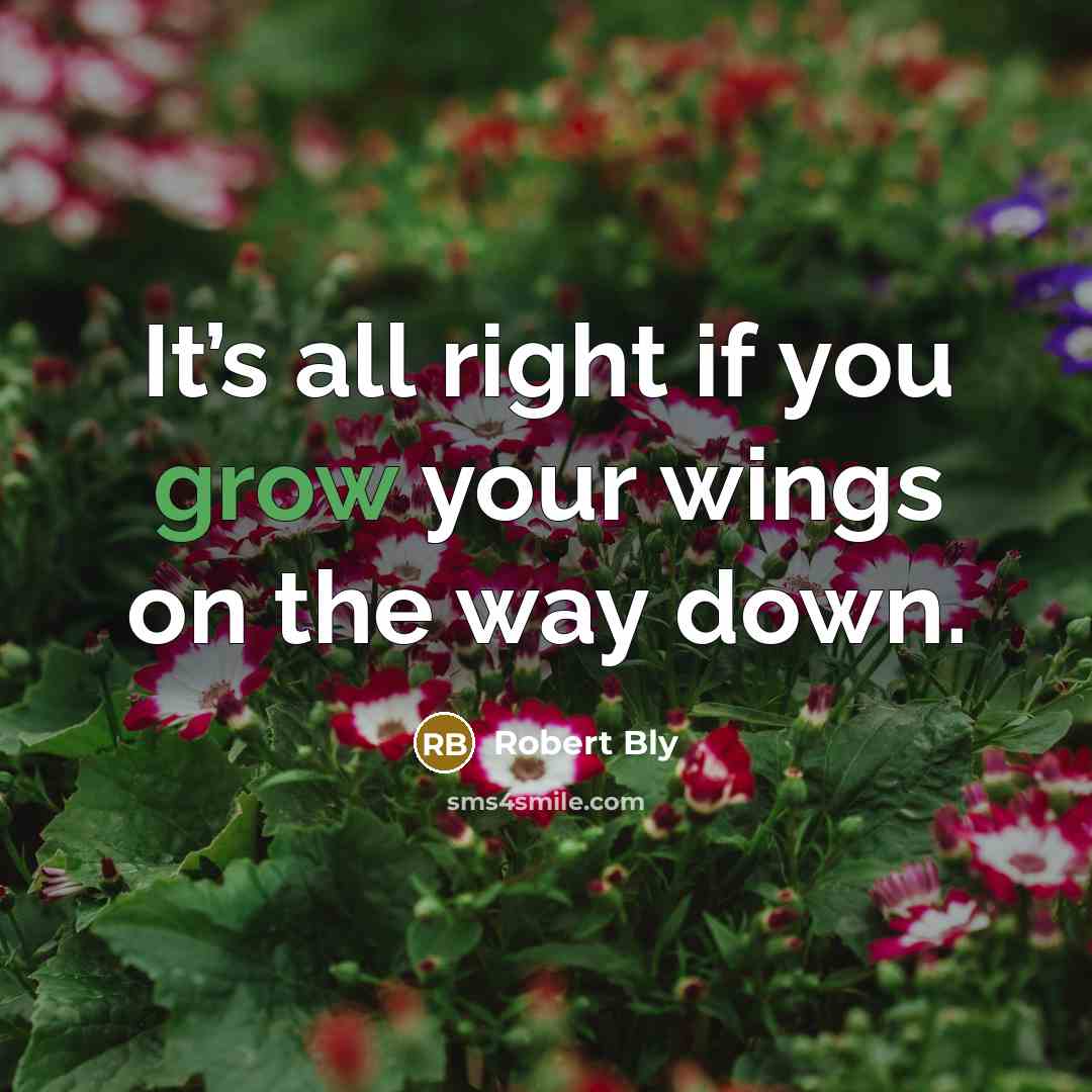 “It’s all right if you grow your wings on the…” quote by Robert Bly