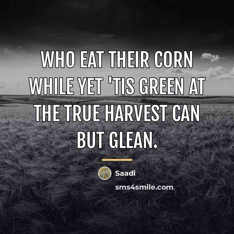“Who eat their corn while yet 'tis green At the…” quote by Saadi