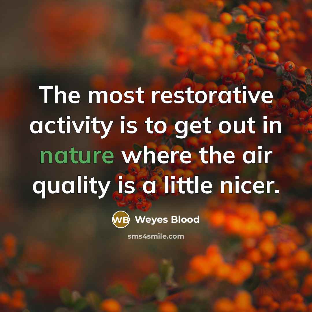 “The most restorative activity is to get out in nature…” quote by Weyes Blood