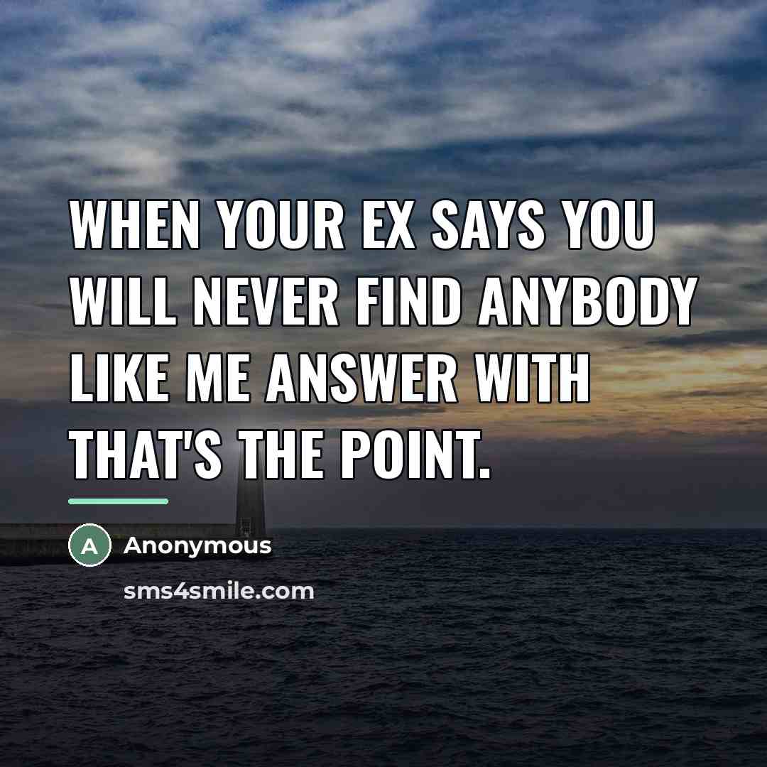 “When your ex says You will never find anybody like…” quote by Anonymous