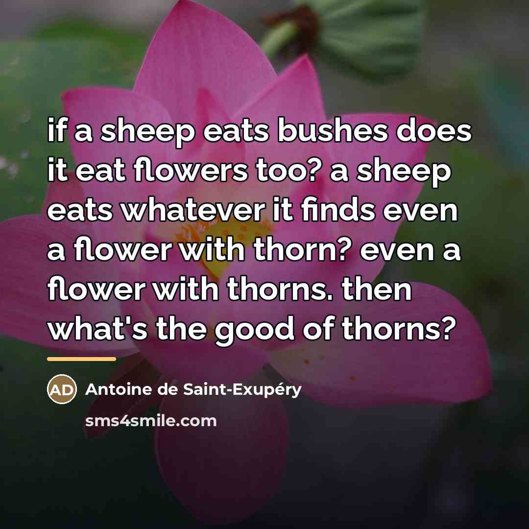 “if a sheep eats bushes does it eat flowers too?…” quote by Antoine de Saint-Exupery