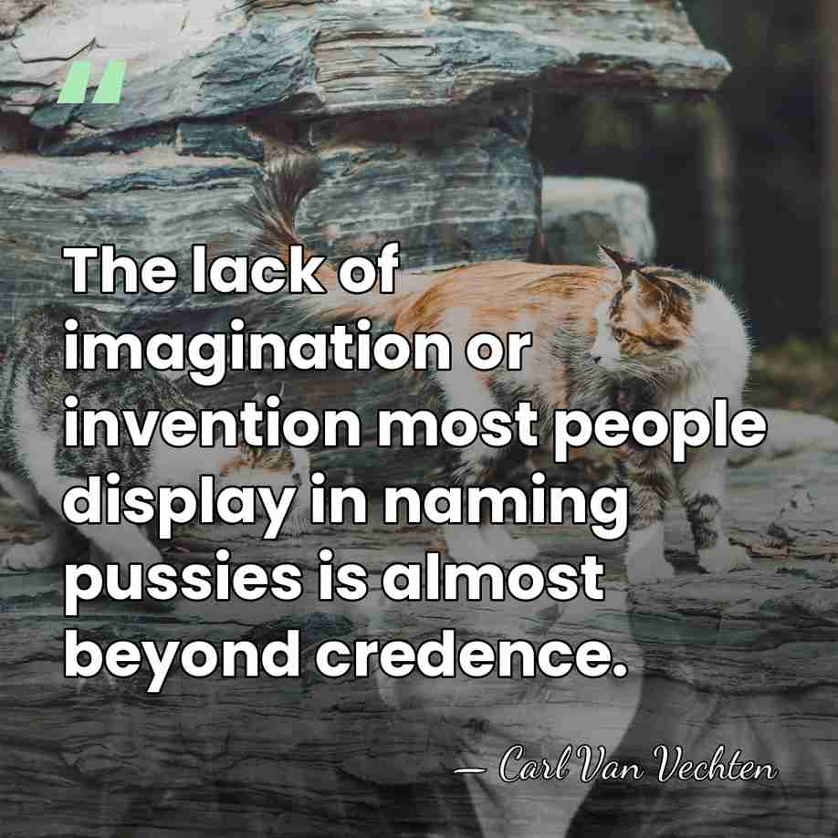 The lack of imagination or invention most people display in naming pussies&hellip; - Carl Van Vechten