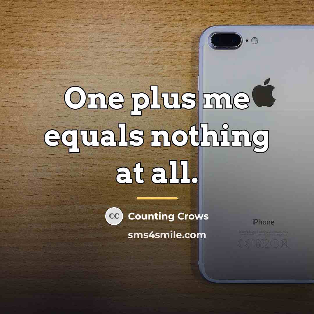 “One plus me equals nothing at all.…” quote by Counting Crows