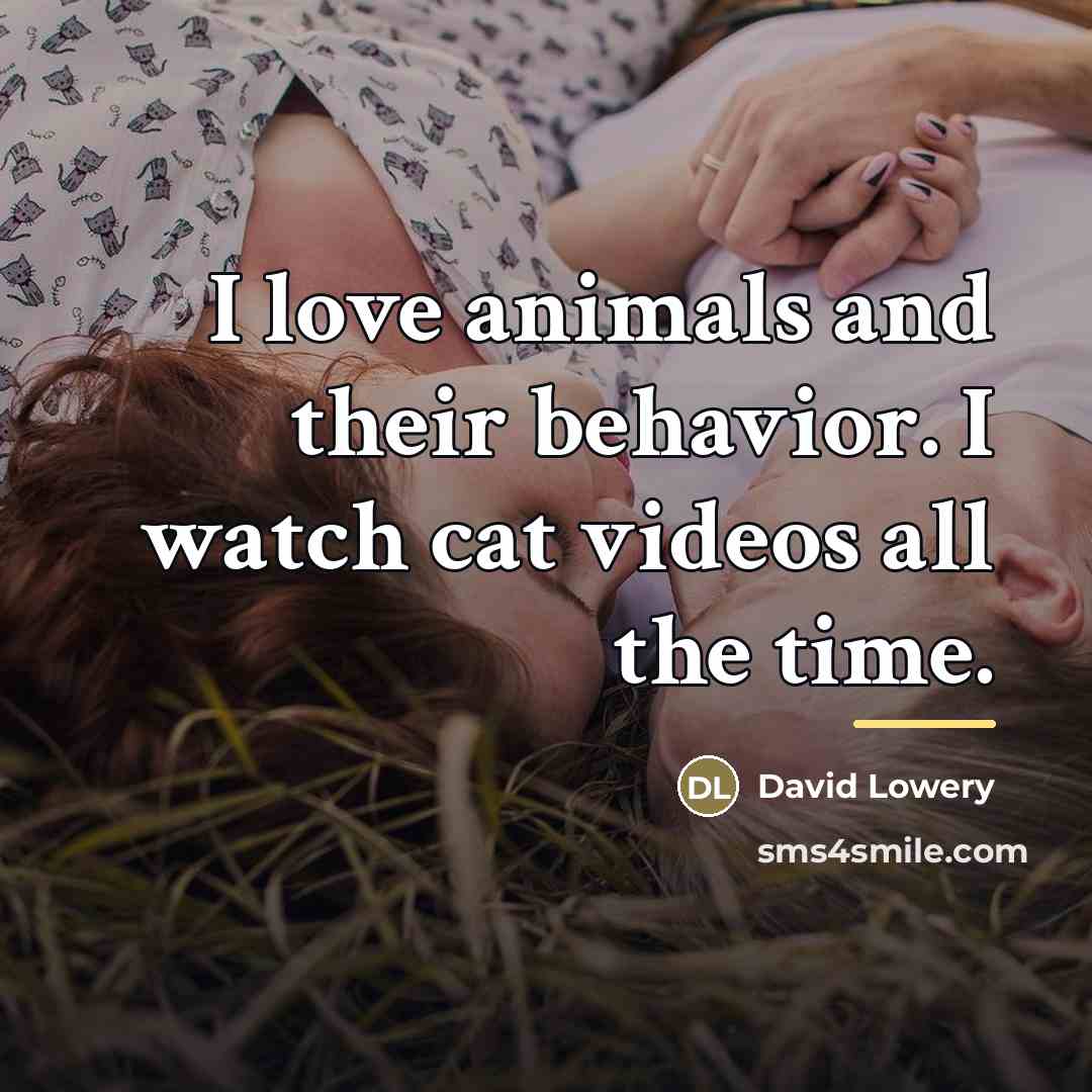 “I love animals and their behavior. I watch cat videos…” quote by David Lowery