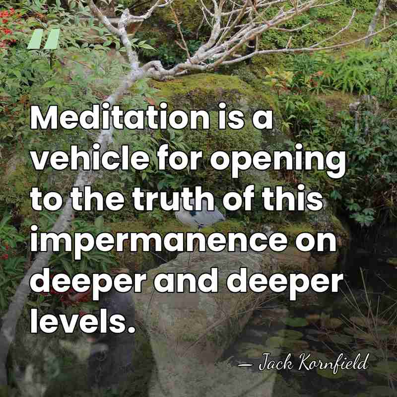 Meditation is a vehicle for opening to the truth of this impermanence&hellip; - Jack Kornfield