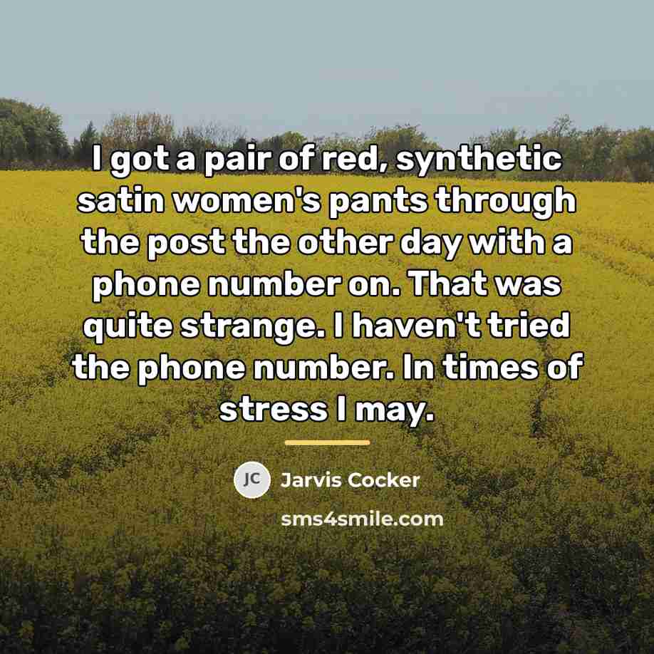 “I got a pair of red, synthetic satin women's pants…” quote by Jarvis Cocker