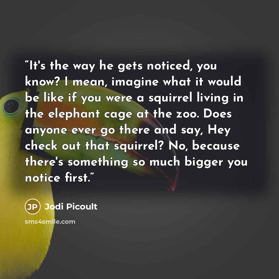 “It's the way he gets noticed, you know? I mean, imagine what it would be like if you were a squirrel living in the elephant cage at the zoo. Does anyone ever go there and say, Hey check out that squirrel? No, because there's something so much bigger you notice first.” quote by Jodi Picoult