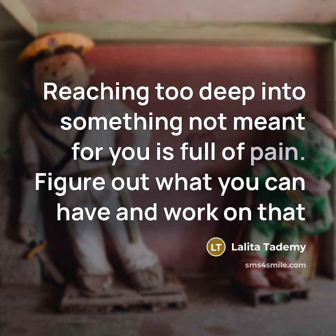 “Reaching too deep into something not meant for you is full of pain. Figure out what you can have and work on that” quote by Lalita Tademy