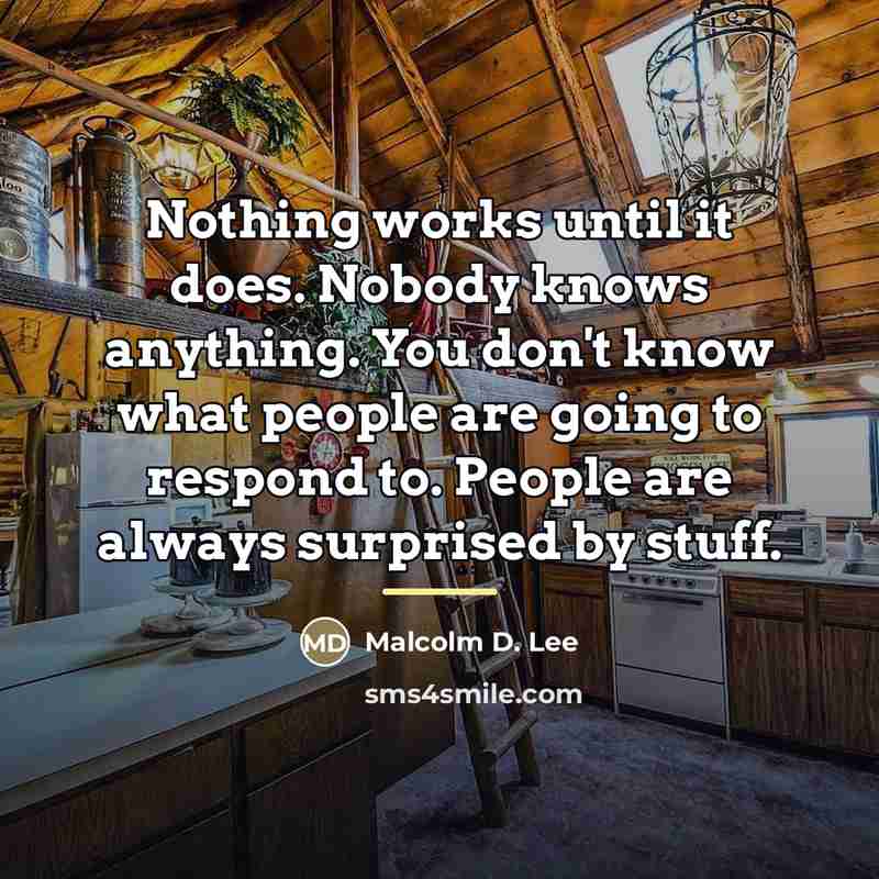 “Nothing works until it does. Nobody knows anything. You don't…” quote by Malcolm D. Lee