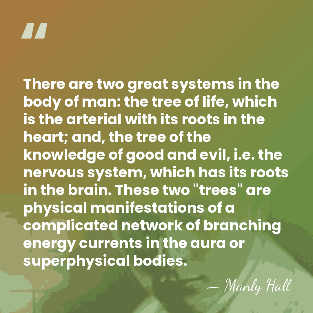 There are two great systems in the body of man: the tree&hellip; - Manly Hall