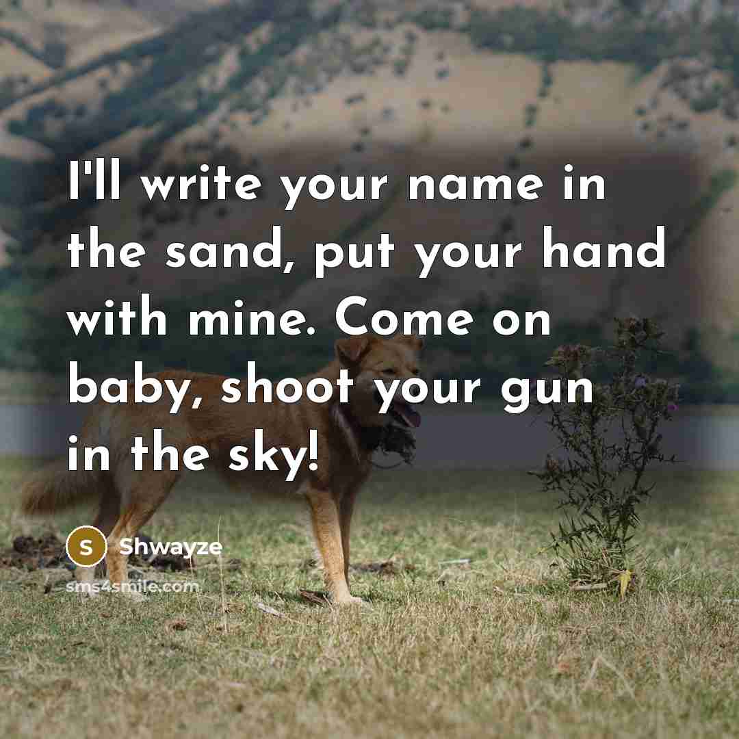 “I'll write your name in the sand, put your hand…” quote by Shwayze