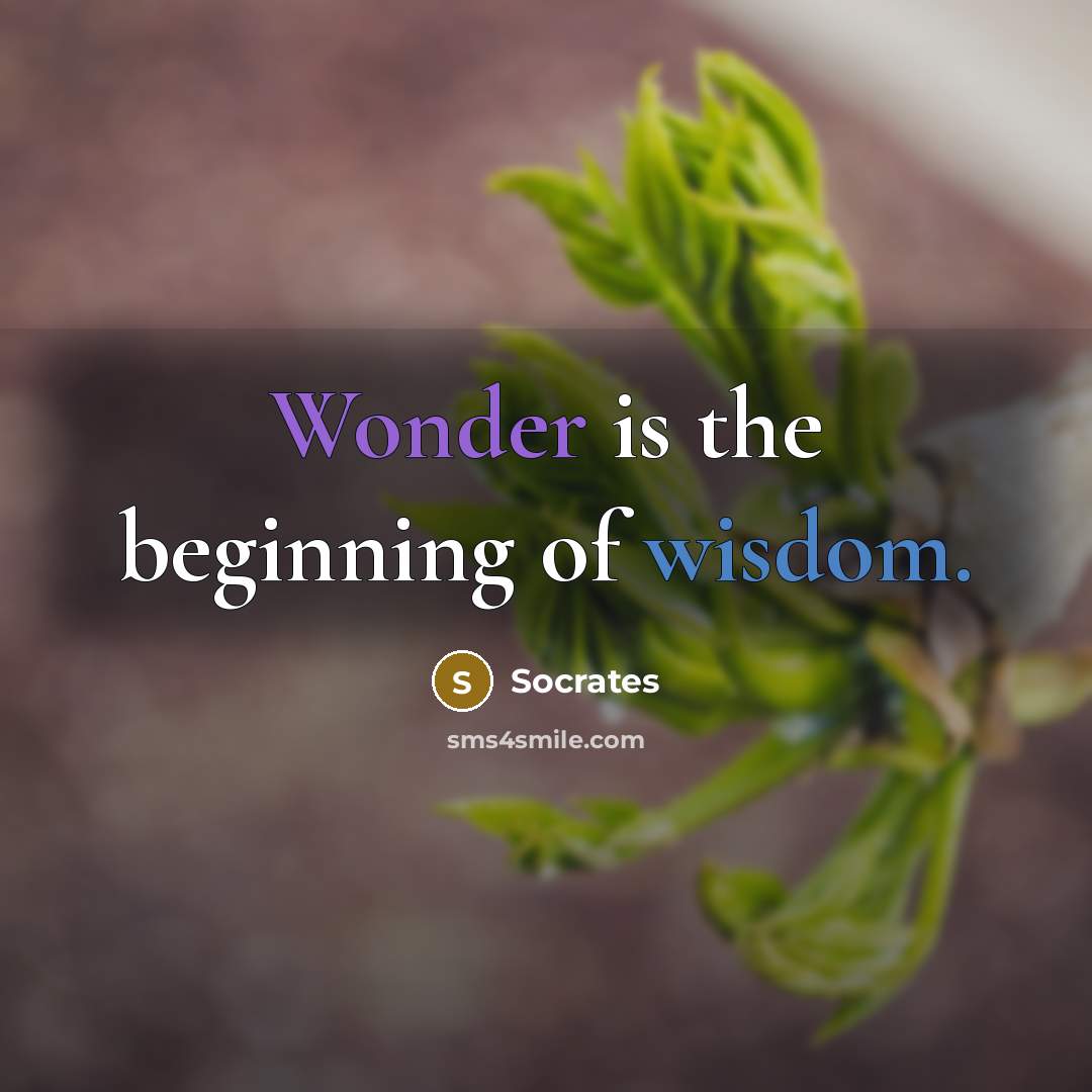 “Wonder is the beginning of wisdom.” quote by Socrates
