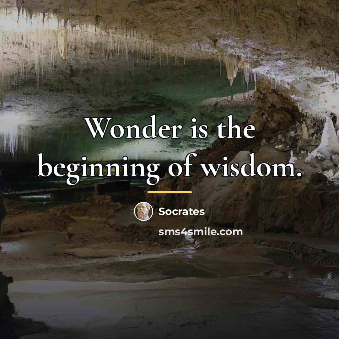 “Wonder is the beginning of wisdom.…” quote by Socrates