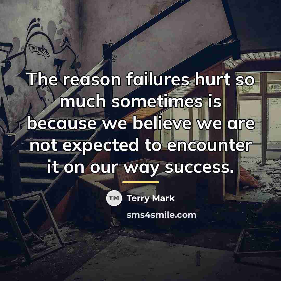 “The reason failures hurt so much sometimes is because we…” quote by Terry Mark