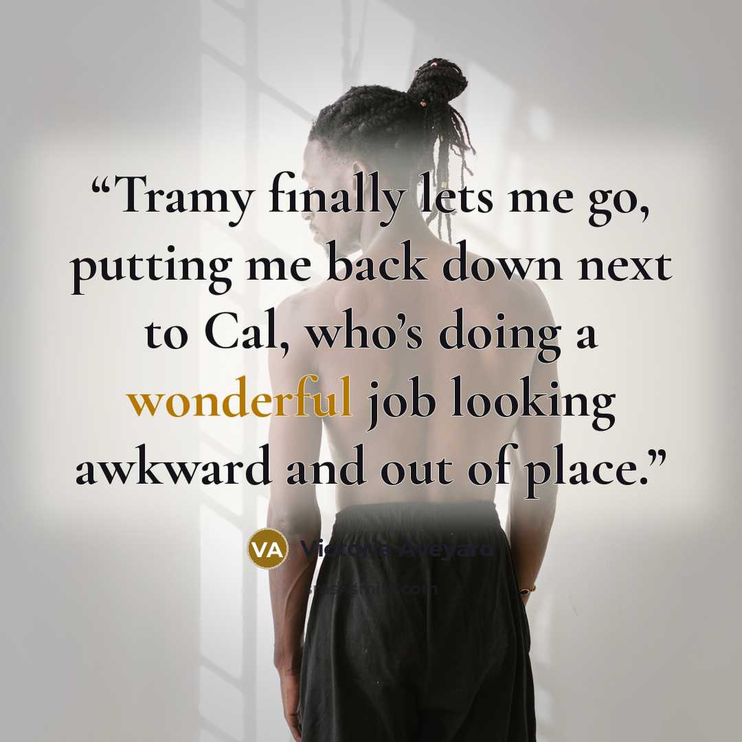 “Tramy finally lets me go, putting me back down next to Cal, who’s doing a wonderful job looking awkward and out of place.” quote by Victoria Aveyard