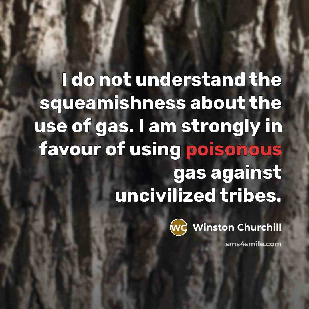 “I do not understand the squeamishness about the use of…” quote by Winston Churchill