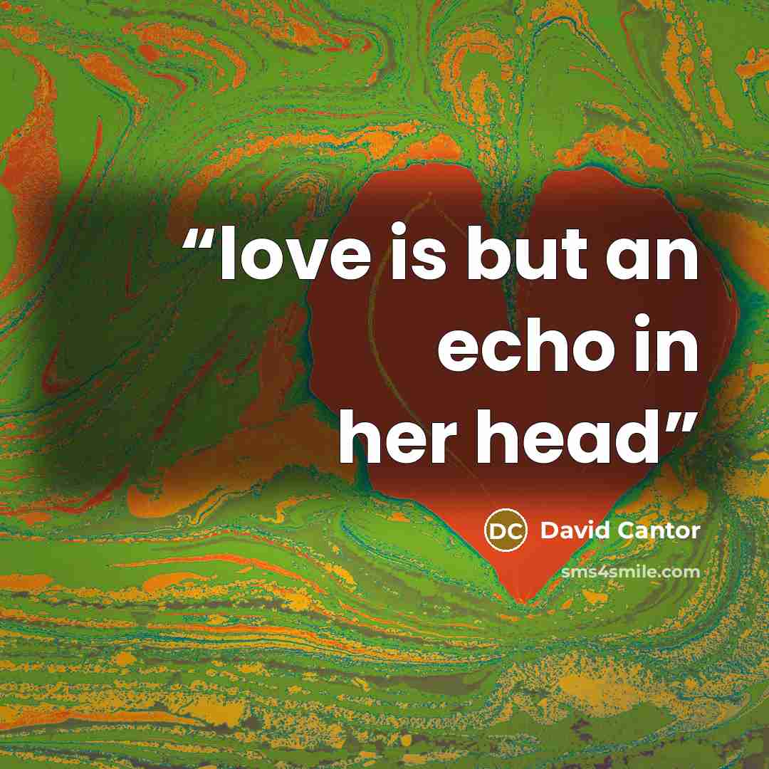“love is but an echo in her head” quote by David Cantor