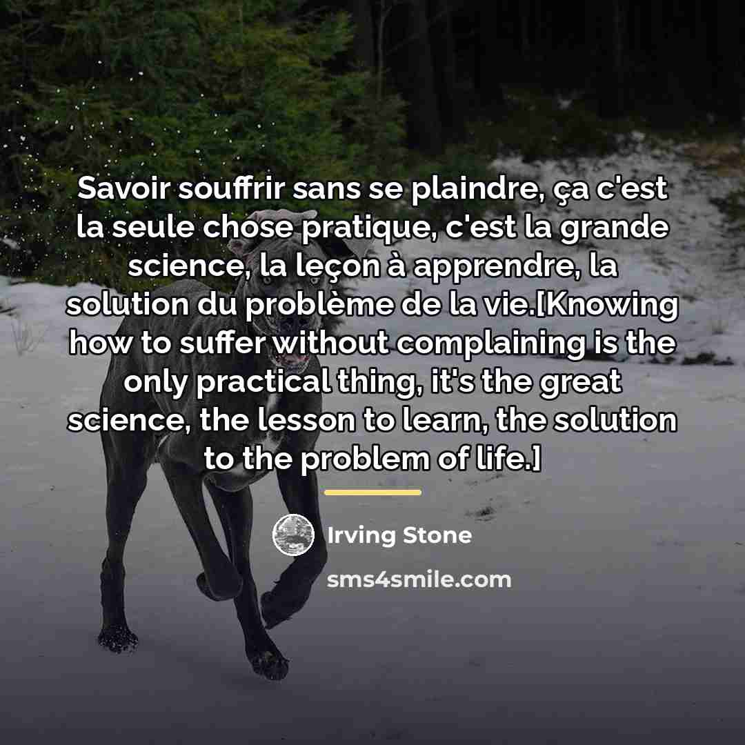 “Savoir souffrir sans se plaindre, ça c'est la seule chose…” quote by Irving Stone