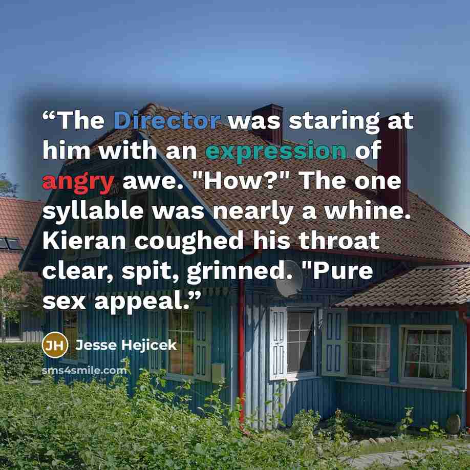 “The Director was staring at him with an expression of angry awe. "How?" The one syllable was nearly a whine. Kieran coughed his throat clear, spit, grinned. "Pure sex appeal.” quote by Jesse Hejicek