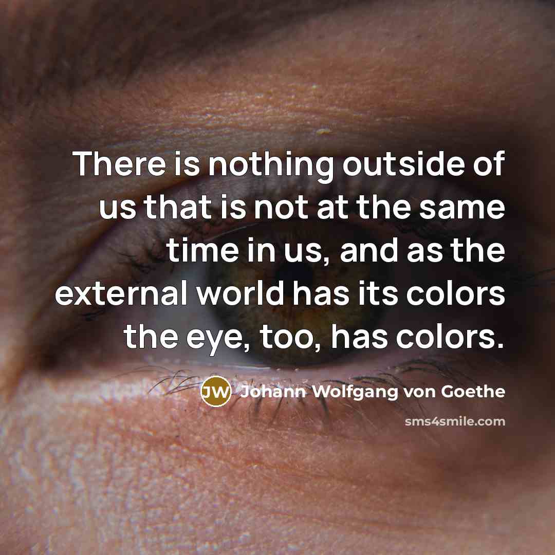 “There is nothing outside of us that is not at…” quote by Johann Wolfgang von Goethe