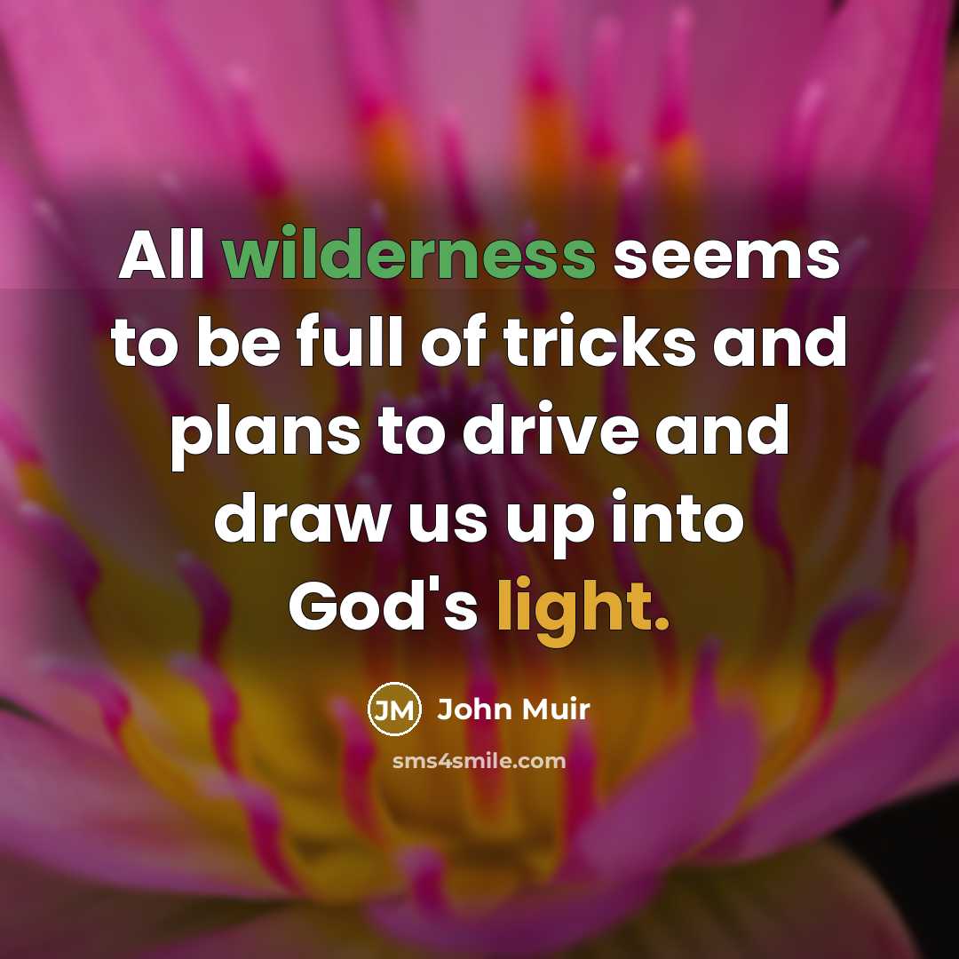 “All wilderness seems to be full of tricks and plans…” quote by John Muir