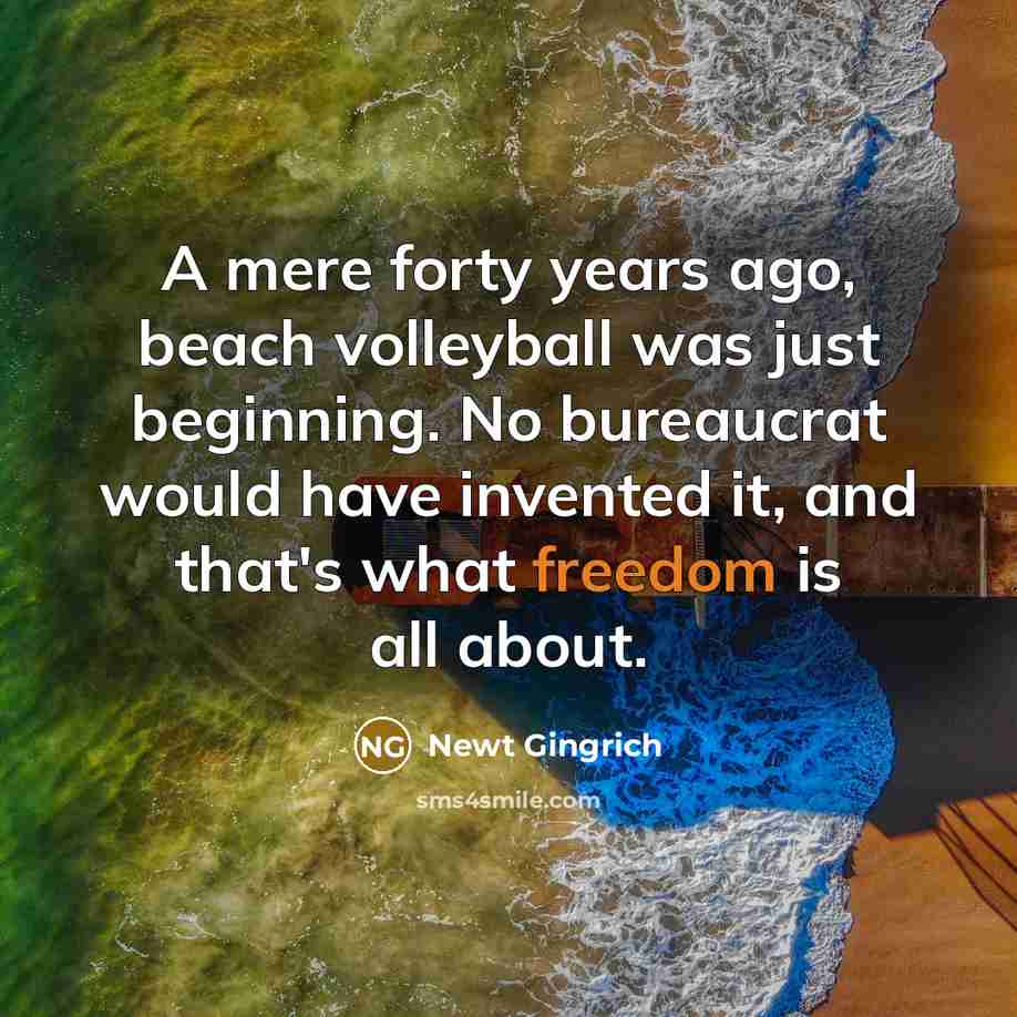 “A mere forty years ago, beach volleyball was just beginning.…” quote by Newt Gingrich