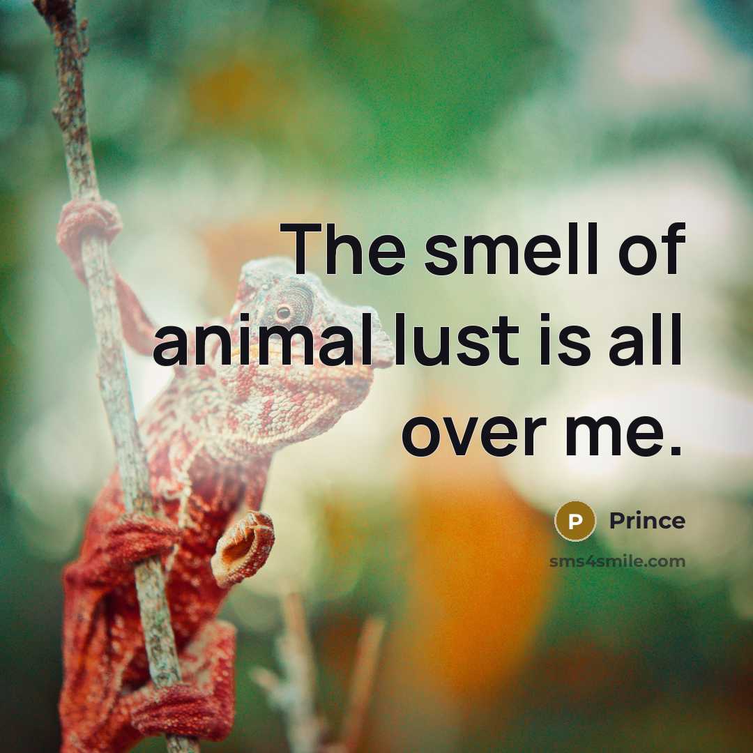 “The smell of animal lust is all over me.” quote by Prince