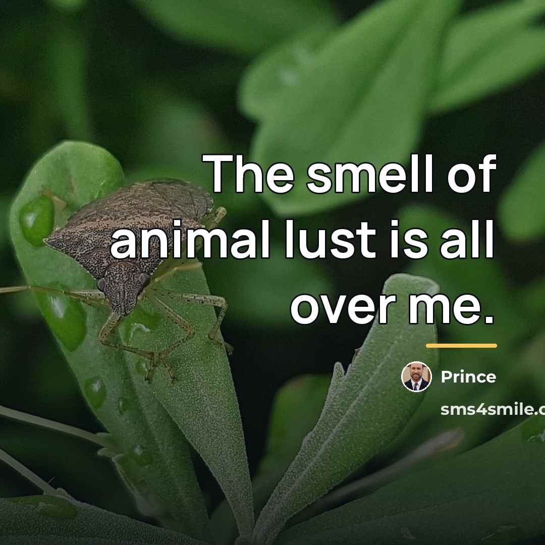 “The smell of animal lust is all over me.…” quote by Prince