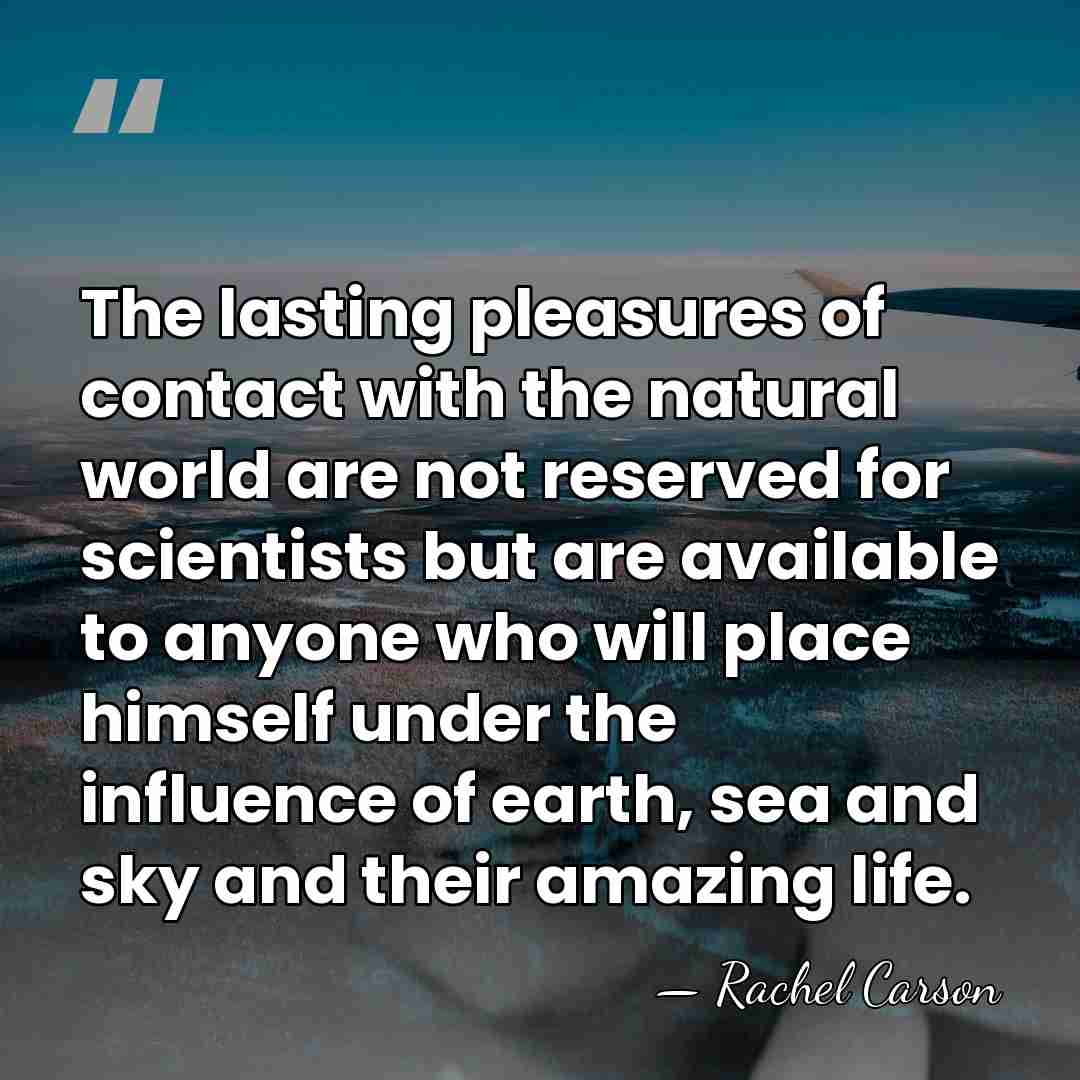 The lasting pleasures of contact with the natural world are not reserved&hellip; - Rachel Carson