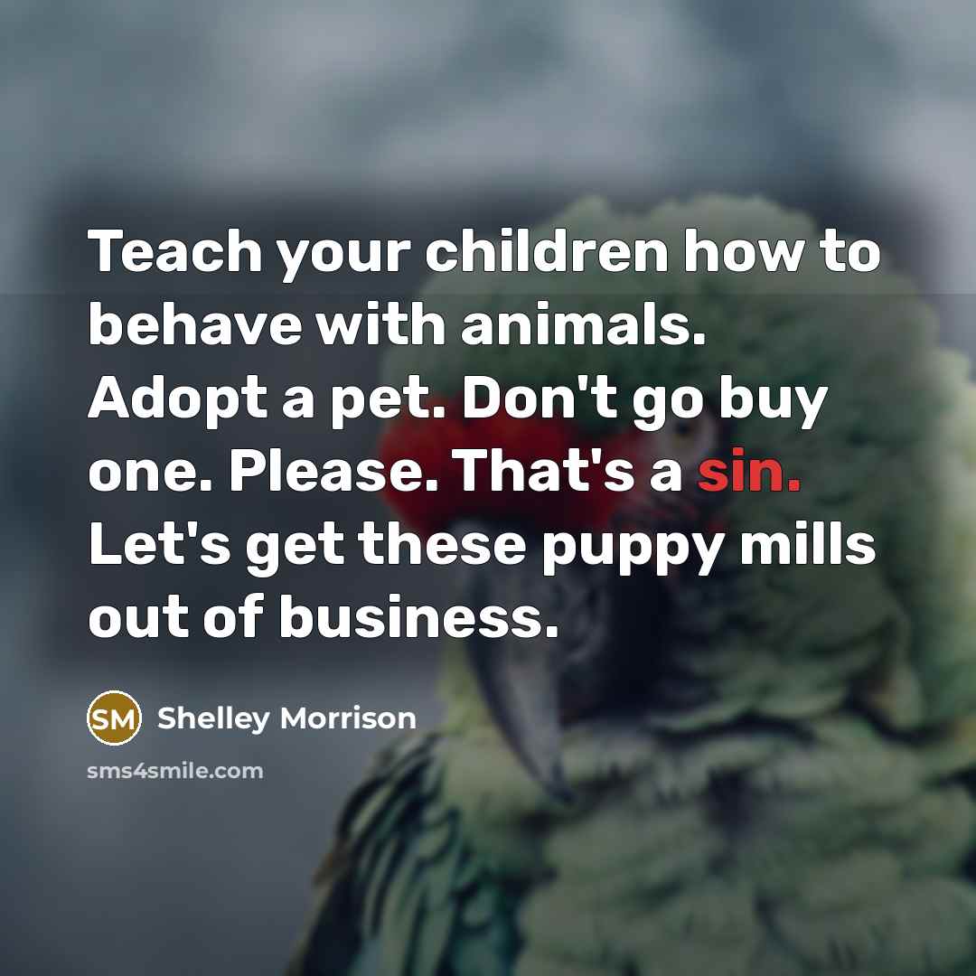 “Teach your children how to behave with animals. Adopt a…” quote by Shelley Morrison